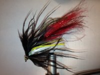GT Fly.jpeg