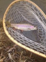 Rainbow 1.jpg