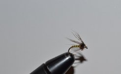 DSC_0040.JPG