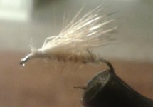TANK ELK HAIR-2.jpg