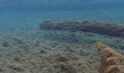 Ditch underwater.JPG