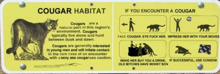 cougar.JPG