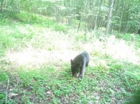 Dsc00039aa.jpg