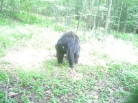 Dsc00038aa.jpg