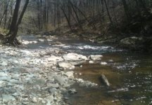 The Gorge 2.jpg