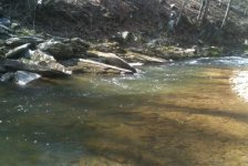 The Gorge 4.jpg