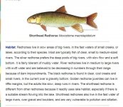 suckers redhorse.JPG