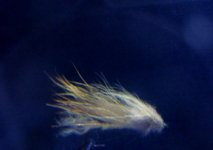 DSCN0017 (400x283).jpg