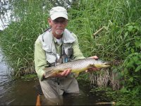 20 Inch Brown June 24, 2010.jpg