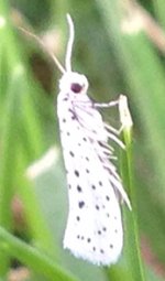 photo 1_R.jpg