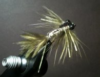 Damselfly.jpg