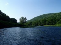 image_2 (640x480) (525x394).jpg