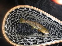 North Branch2.jpg