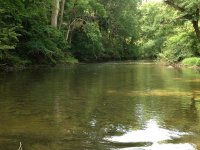 millcreek3.jpg