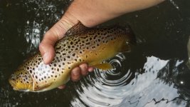 20140822_124947.jpg