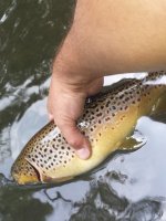 20140822_124907.jpg