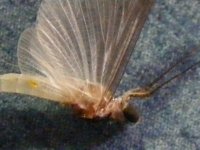 DSCF4300 (400x300).jpg