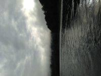 image[1].jpeg
