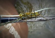 Awesome_1410902810225.jpg