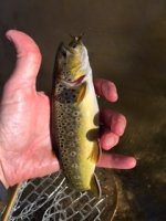 IMG_0879.jpg