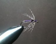 Partridge and Purple Soft Hackle.jpg