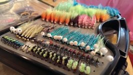 Steelhead box 2.jpg