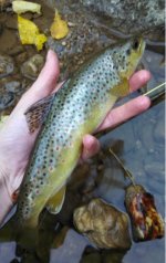 10-5-14.JPG