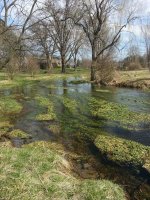 20150406_145518.jpg