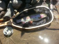 20150723_125831.jpg