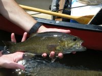 First Fish.jpg