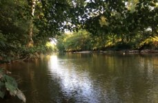 Conestoga River 2.JPG