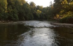 Conestoga River 3.JPG