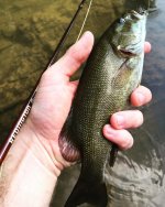 fun on the 4wt.jpg