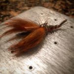 crayfish pattern.jpg