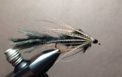 Black Strymph PAFF .JPG