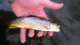 20151025_175852.jpg