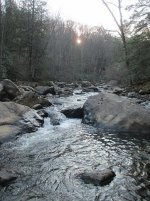 Meado Run 1 11-8-15.jpg