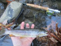 Meadow Run Brown 11-8-15.jpg