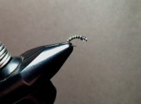 Flashback Zebra Midge.JPG