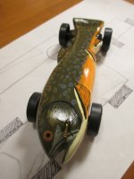 Brookie Derby 4 R.jpg