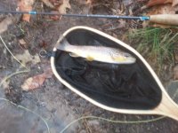 20160110_134305.jpg