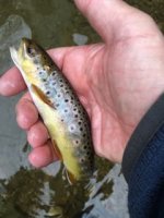 IMG_0912.jpg