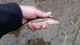 20160108_121914 (2) (640x360).jpg