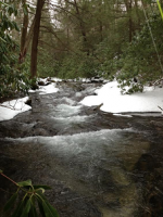 Linn Run 1-31-2016.png