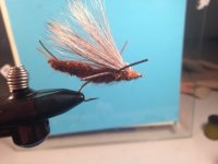 Salmon Fly.jpg