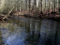Clarks Creek FFO.JPG