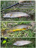 big_spring_good_friday_2016_web.jpg