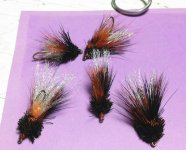 cicada_deerhair.jpg