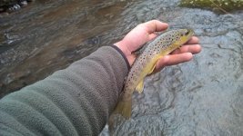 WP_20160116_14_45_42_Pro.jpg