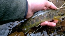WP_20160304_15_01_26_Moment.jpg